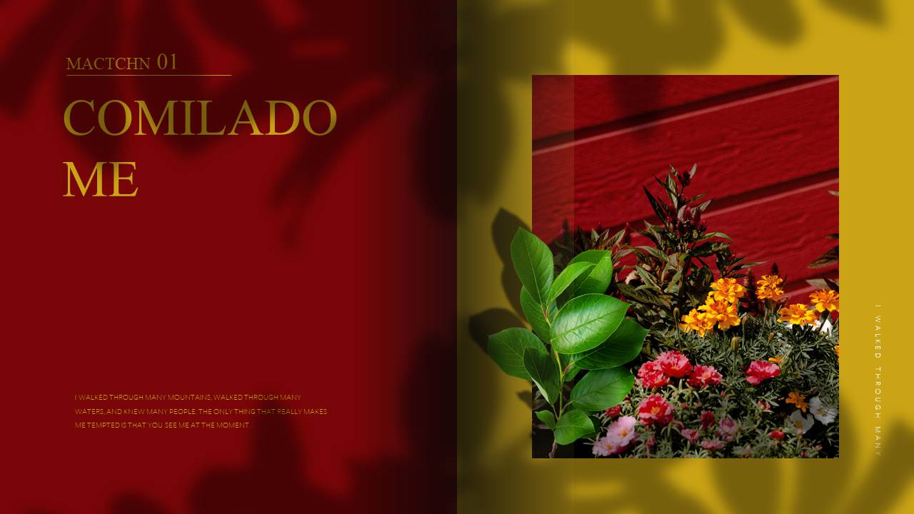 时尚风格 (26).pptx